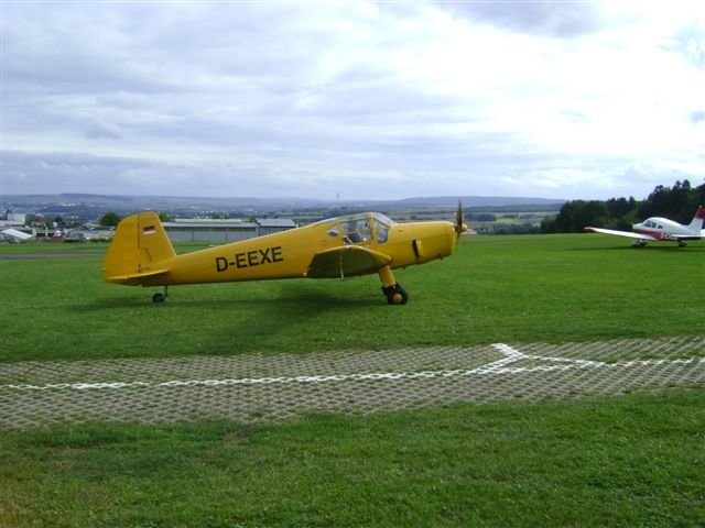 dsc00317.jpg